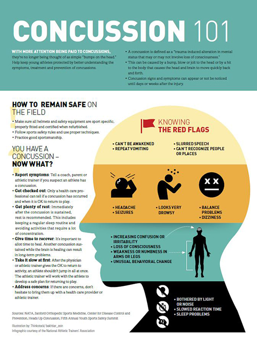 Concussion Handout Nata